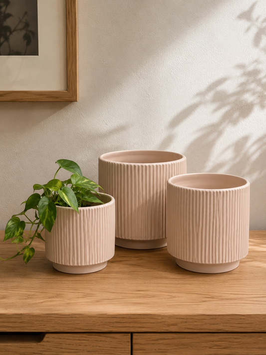Modern Matte Ceramic Cachepot Planter Set