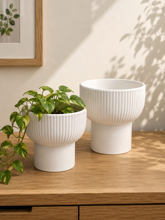 Modern White Ceramic Cachepot Planter