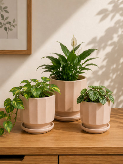 Minimalist Blush Pink Ceramic Planter Set