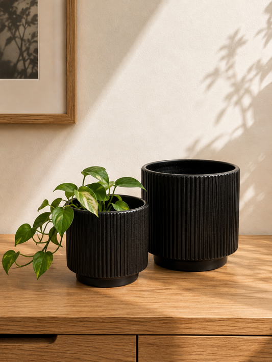 Modern Matte Ceramic Cachepot Planter Set