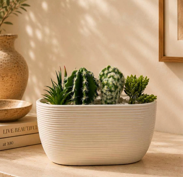Ceramic Cactus Planter